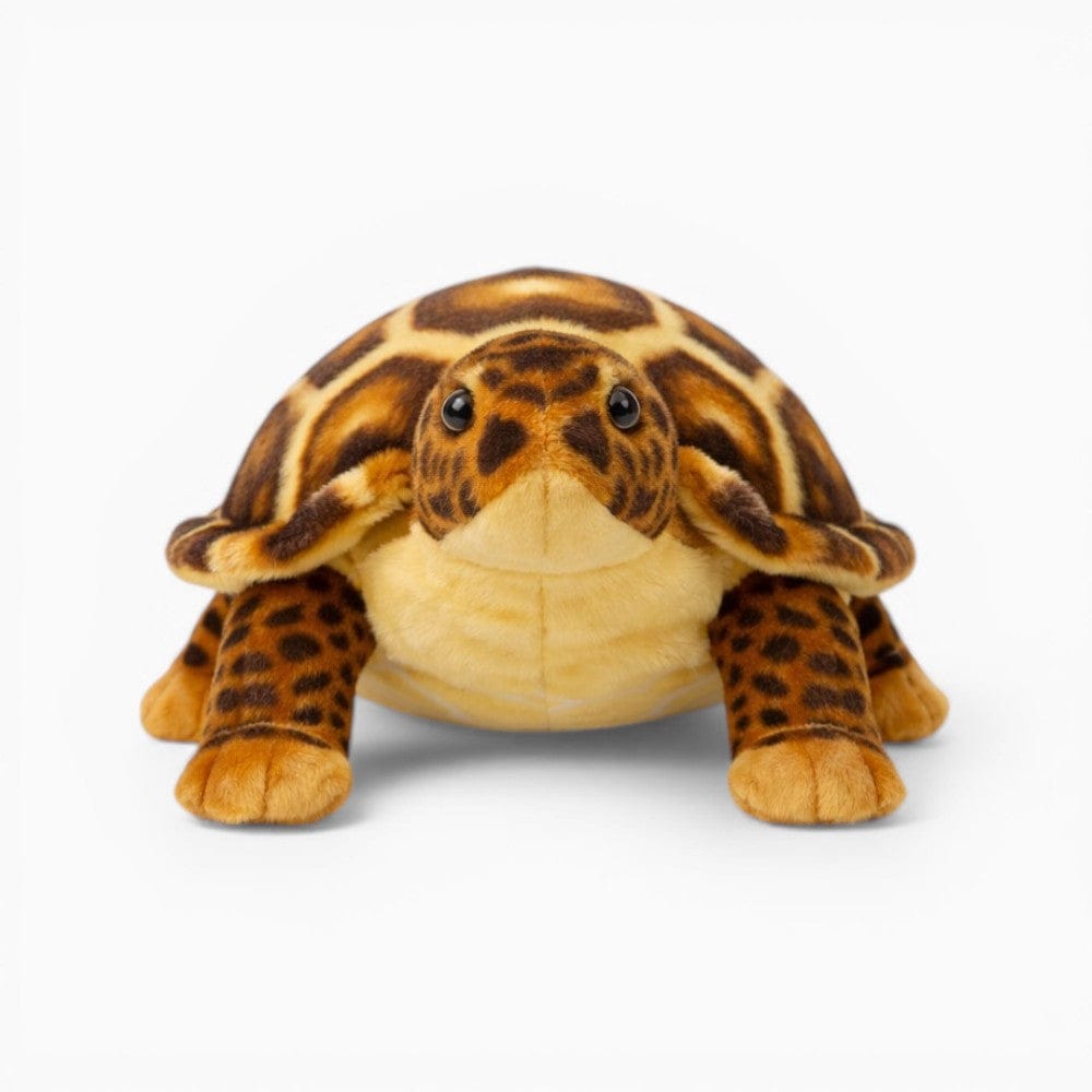 kuscheltierland Braun / 30cm Schildkröte Kuscheltier realistische Meeresschildkröte