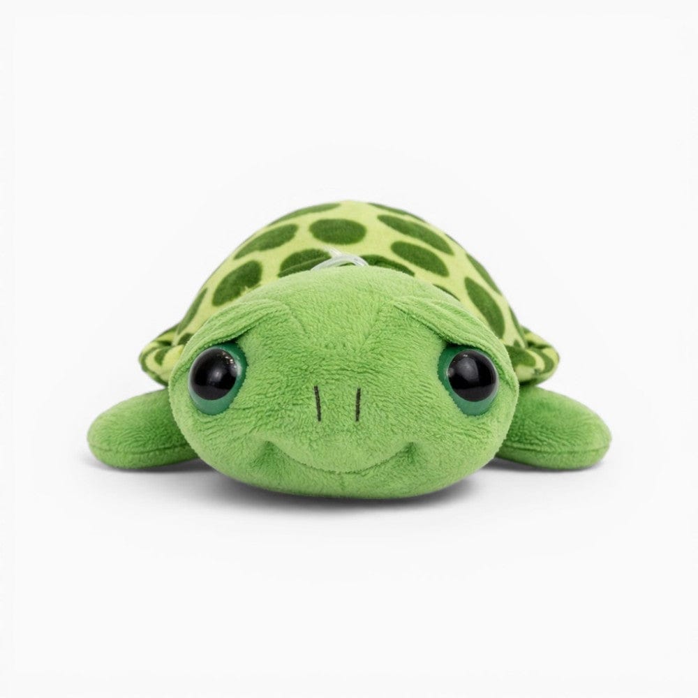 kuscheltierland Grün / 20cm Schildkröte Kuscheltier mit großen Augen